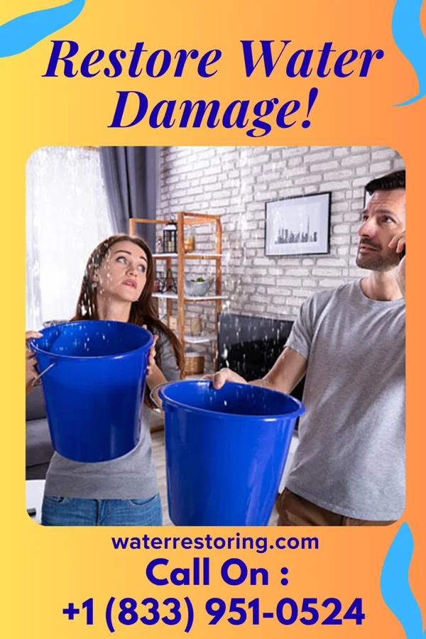 water restoration Reliable Extraction Masters Fostoria